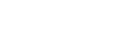 sisecam
